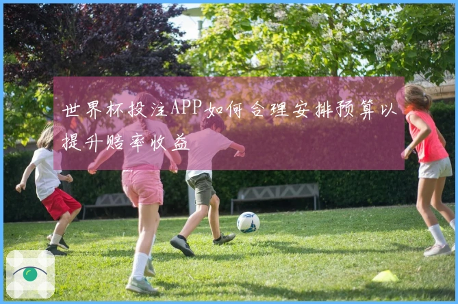 世界杯投注APP如何合理安排预算以提升赔率收益