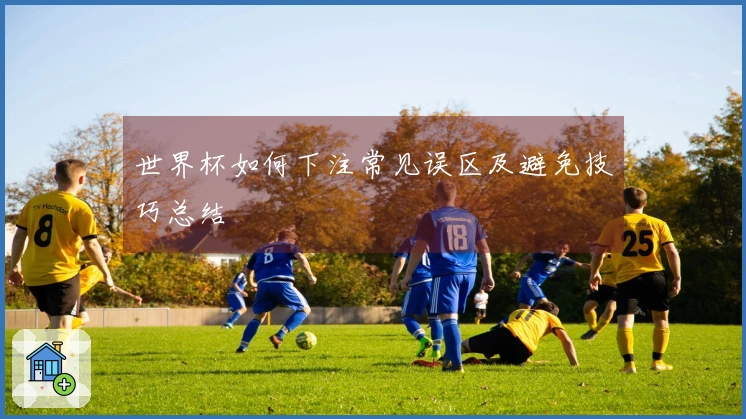 世界杯如何下注常见误区及避免技巧总结