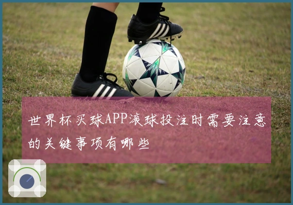 世界杯买球APP滚球投注时需要注意的关键事项有哪些