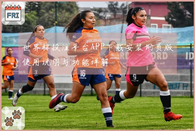 世界杯投注平台APP下载安装网页版使用说明与功能详解