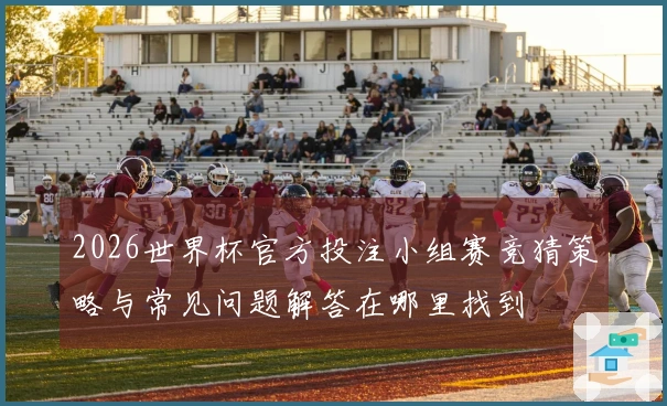 2026世界杯官方投注小组赛竞猜策略与常见问题解答在哪里找到