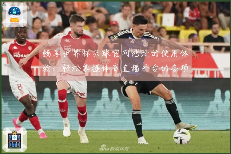 畅享世界杯买球官网地址的使用体验，轻松掌握体育直播平台的各项功能