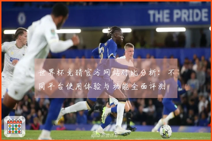 世界杯竞猜官方网站对比分析：不同平台使用体验与功能全面评测
