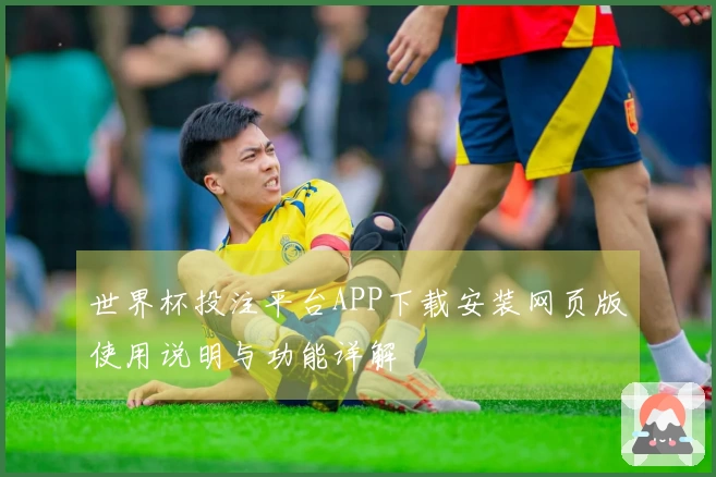 世界杯投注平台APP下载安装网页版使用说明与功能详解