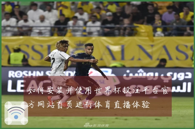 如何安装并使用世界杯投注平台官方网站首页进行体育直播体验