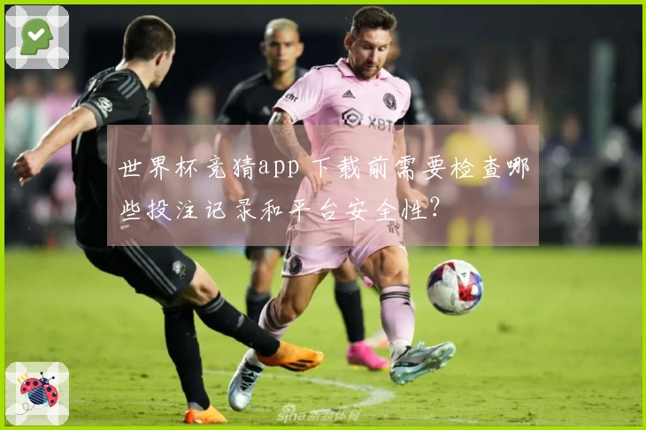 世界杯竞猜app 下载前需要检查哪些投注记录和平台安全性？