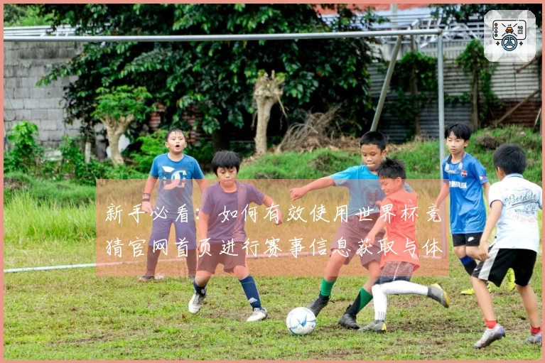 新手必看：如何有效使用世界杯竞猜官网首页进行赛事信息获取与体验提升
