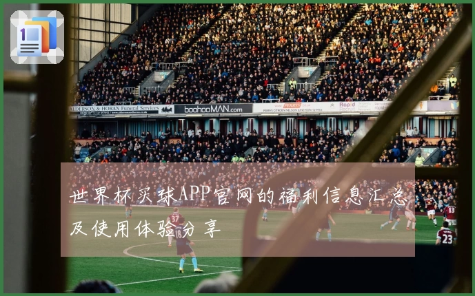 世界杯买球APP官网的福利信息汇总及使用体验分享
