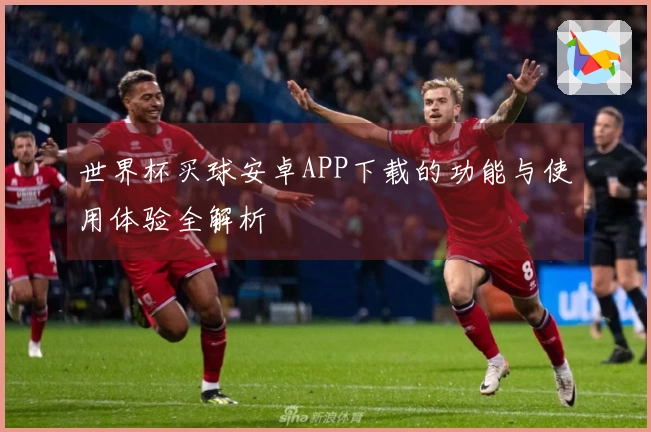 世界杯买球安卓APP下载的功能与使用体验全解析