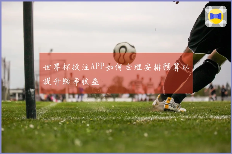 世界杯投注APP如何合理安排预算以提升赔率收益