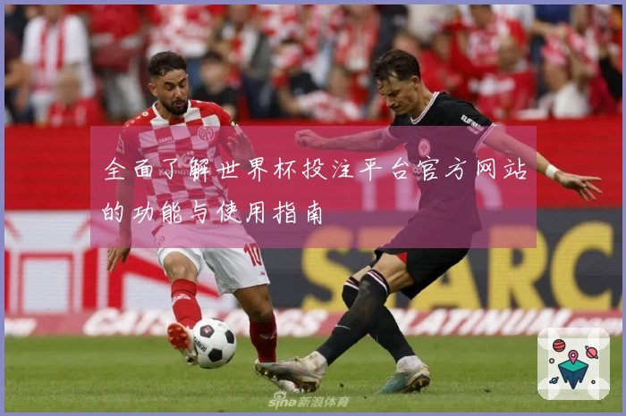 全面了解世界杯投注平台官方网站的功能与使用指南